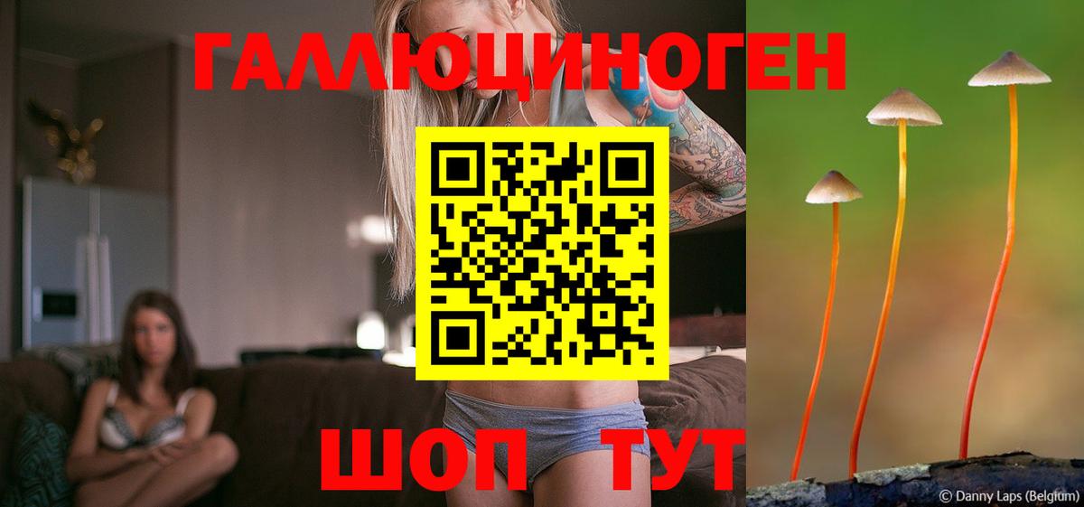 Псилоцибиновые грибы мухоморы Анжеро-Судженск